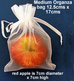 an apple in medium organza bag